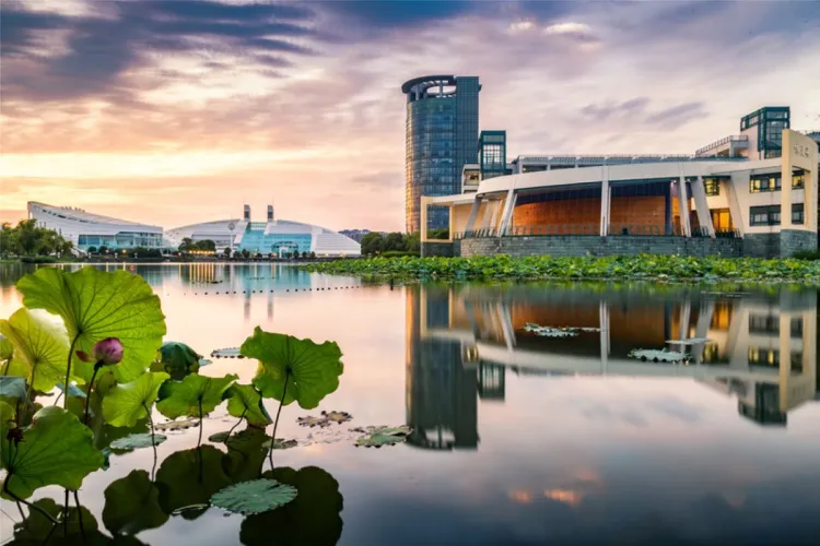 Uniwersytet w Zhejiang