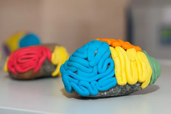 Dni mózgu: kolorowy mózg, fot. archiwum organizatorów. 