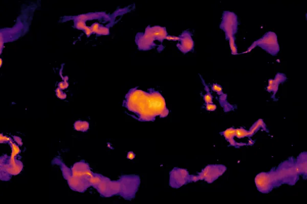 Różne typy radiogalaktyk zasilane energią supermasywnych czarnych dziur. Prawa autorskie: Maya Horton and the LOFAR surveys collaboration