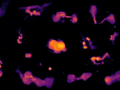 Różne typy radiogalaktyk zasilane energią supermasywnych czarnych dziur. Prawa autorskie: Maya Horton and the LOFAR surveys collaboration