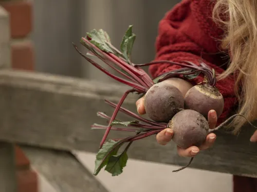 Kobieta trzyma na dłoni buraki