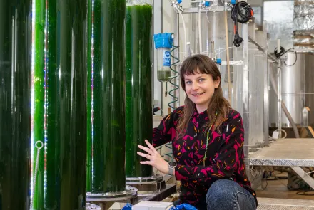 Izabela Świca przygotowuje mikroglony do kosmicznych upraw 