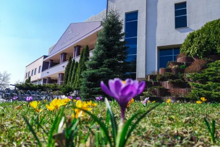 Awans UWM w międzynarodowym rankingu SCImago