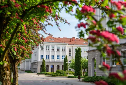 Co naukowcy robią latem w Kortowie? 
