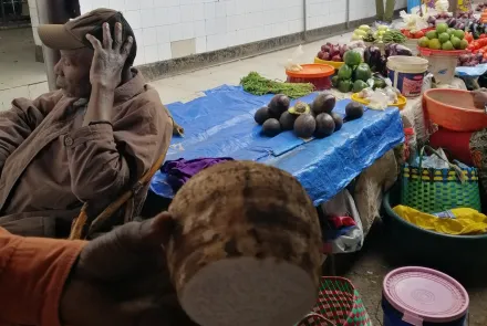 Naukowa pocztówka z wakacji: prof. Bogucka o Zanzibarze, czyli Wyspie Przypraw