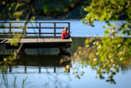 UWM utrzymuje wysoką pozycję w rankingu UI GreenMetric