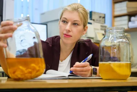Naukowy Grant Rektora wykorzystała do produkcji analogów kombuchy