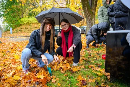 Dla bioróżnorodności: w Kortowie odbyła się akcja sadzenia roślin cebulowych 