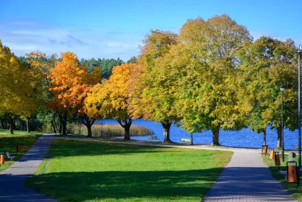 Rozpoczęła się modernizacja Plaży Kortowskiej. Co jeszcze zmieni się w kampusie UWM?
