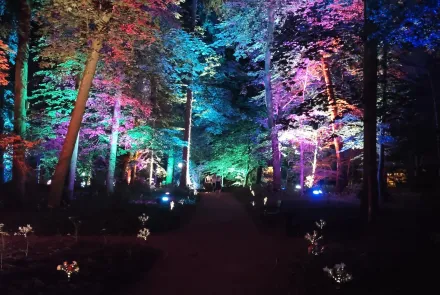 Kortowski Park Świateł: kampus UWM pełen magii