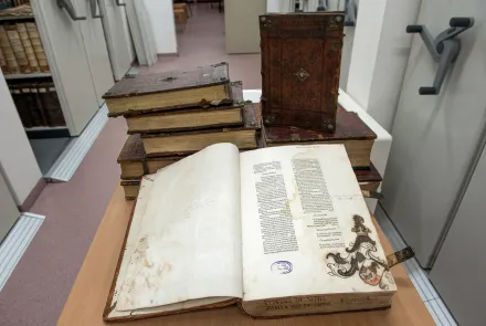 Historia (nie)odkryta w księgach
