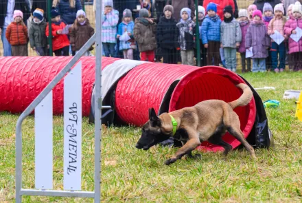 „Pełna Micha” już otwarta! Agility Park WBZ powstał w Kortowie