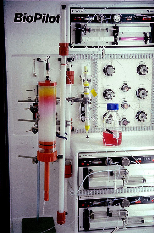 System chromatografii cieczowej BioPilot